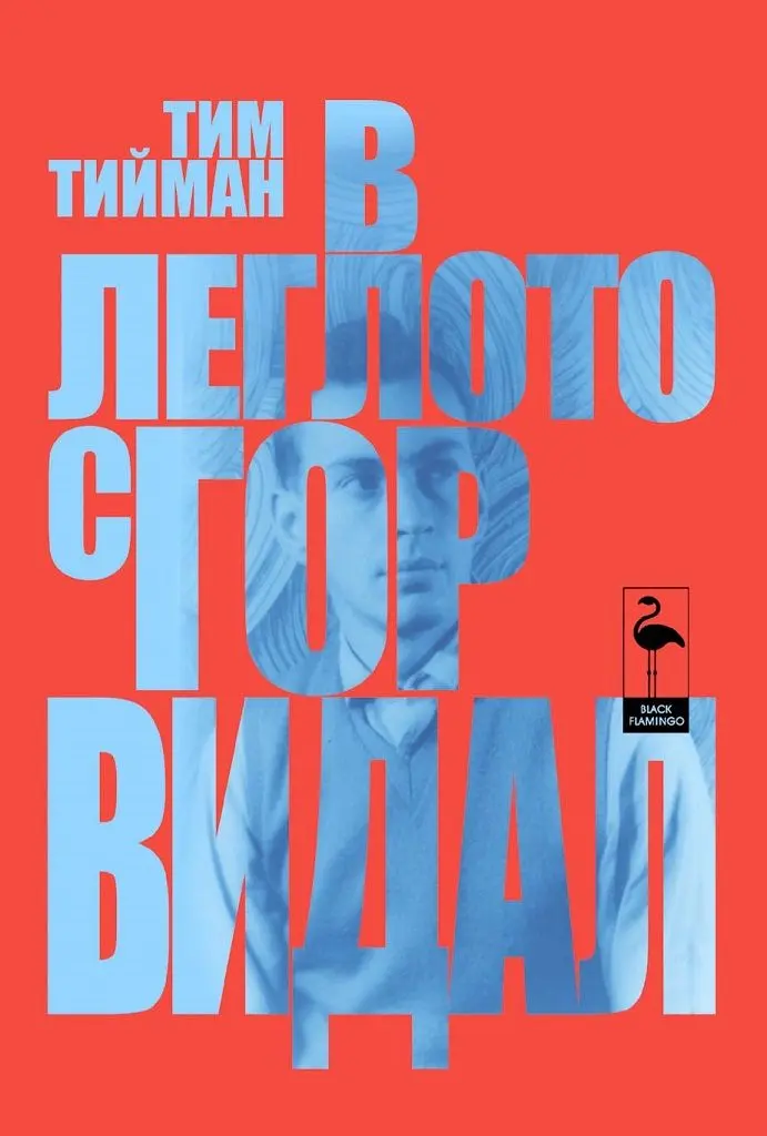 In bed with Gore Vidal(Bulgarian, Used) - Tim Teeman