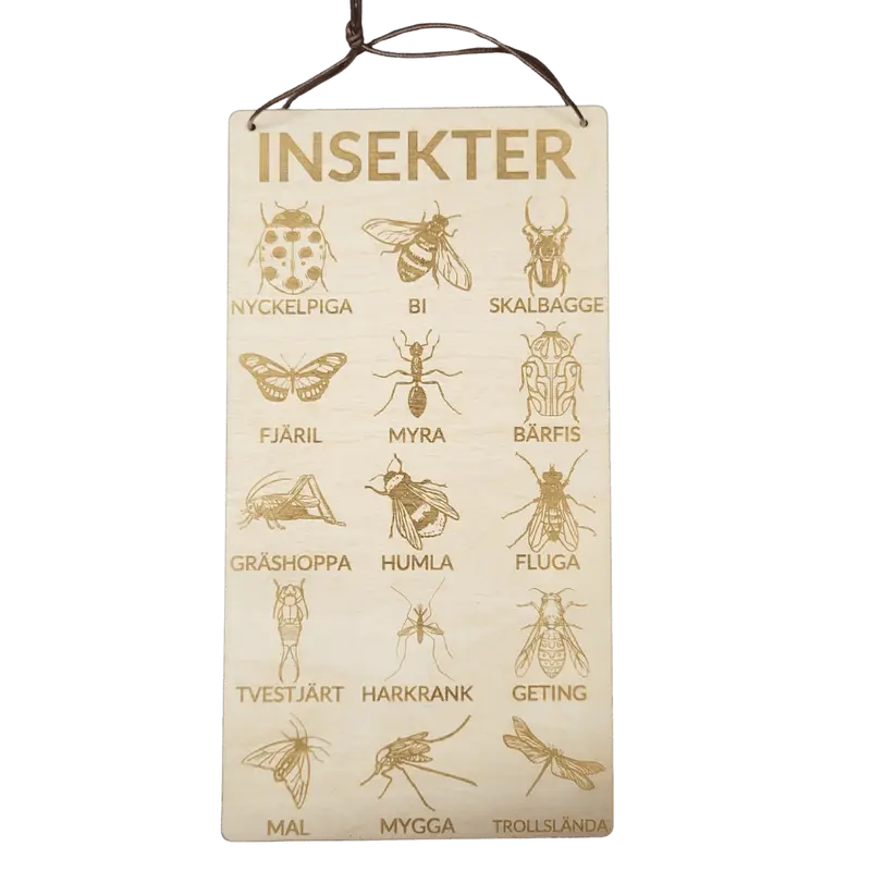 Insekter poster i svenska – 3 mm björk- 15cm