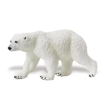 Isbjörn