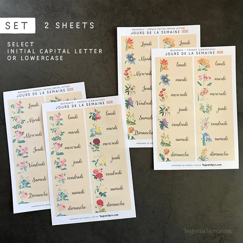 Jours de la Semaine SET • Weekdays in French • 30+31