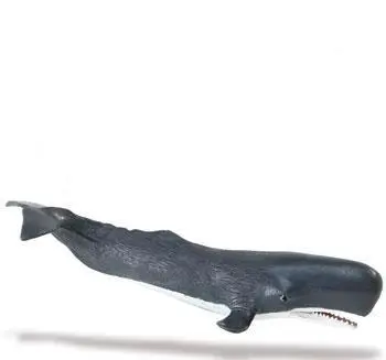 Kaskelot 21.5x5 cm