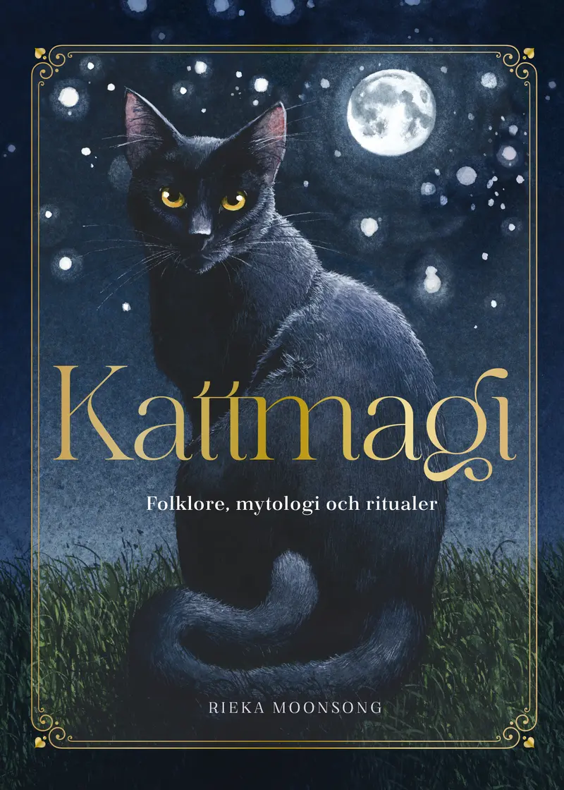 Kattmagi