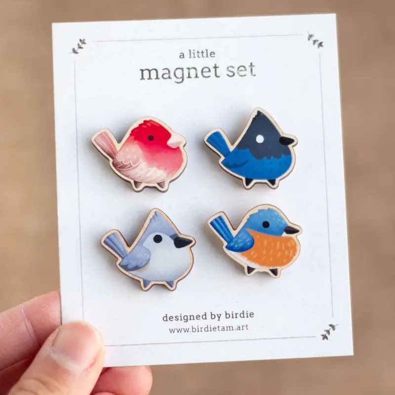 Magnet set - North American sonbirds, set 2