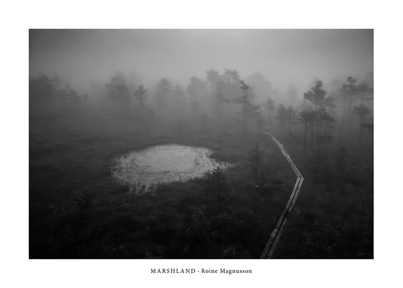 MARSHLAND II
