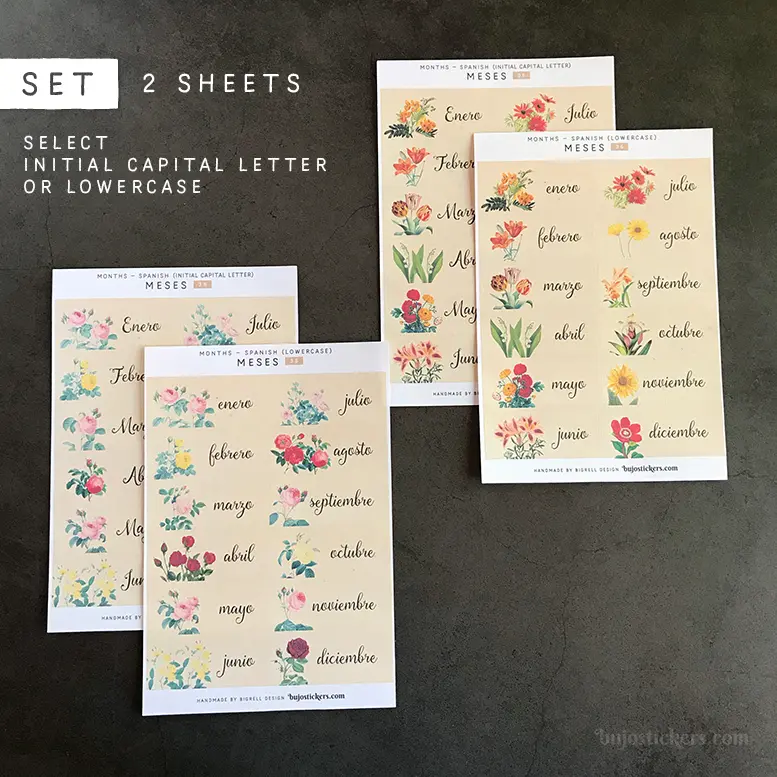 Meses SET • Months in Spanish • 35+36