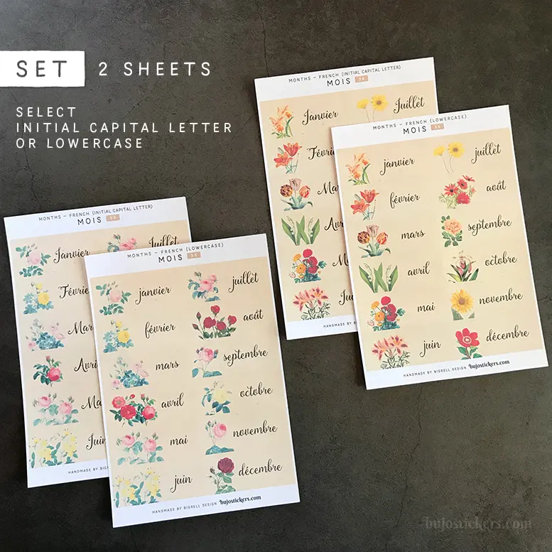 Mois SET • Months in French • 35+36