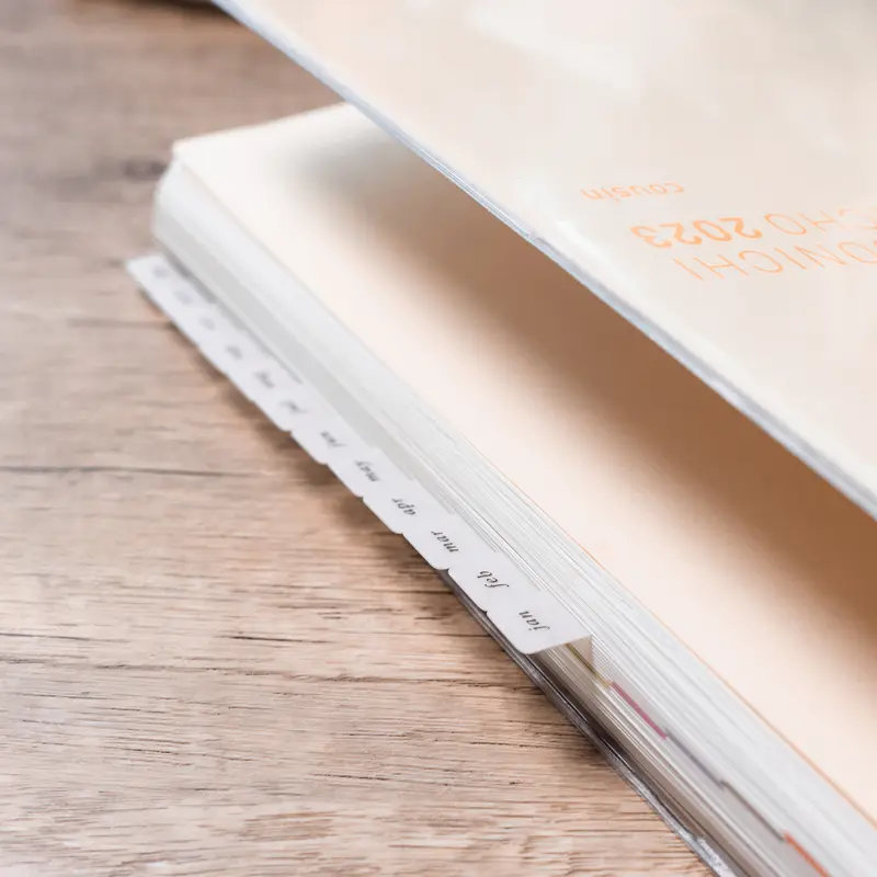 Monthly Mini Vellum Tabs - Planner tabs