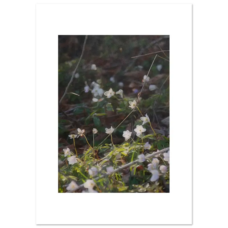 My Magical Garden - Art print #15