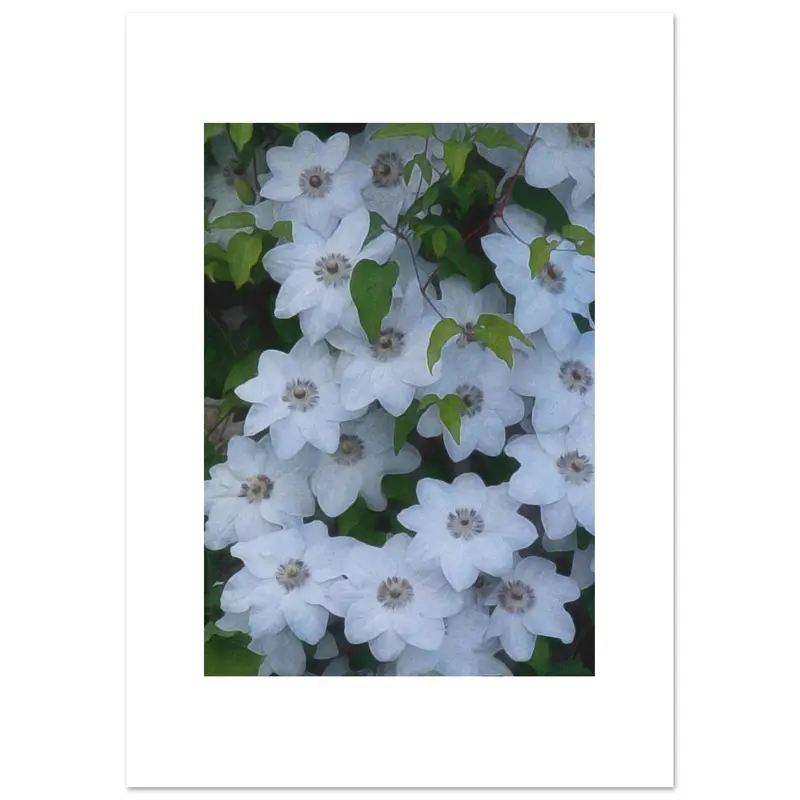My Magical Garden - Art print #22
