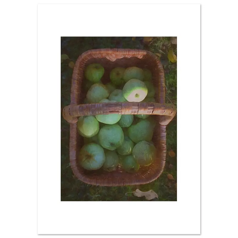 My Magical Garden - Art print #9