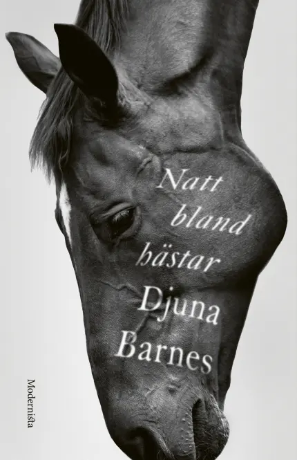 Natt bland hästar - Djuna Barnes