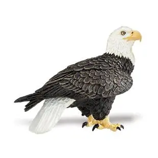 Örn (Vithövdad) 7x5.5 cm