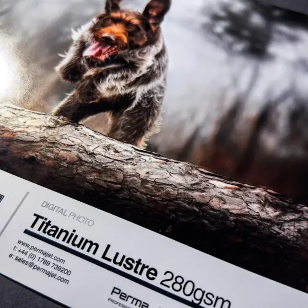 PermaJet, Titanium Lustre Metallic 280 g