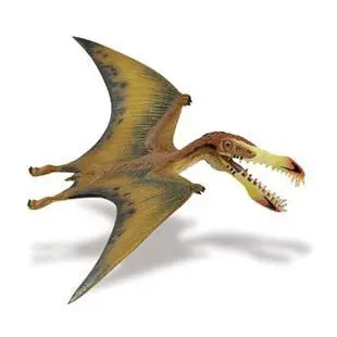 Pterosaur 10x18 cm