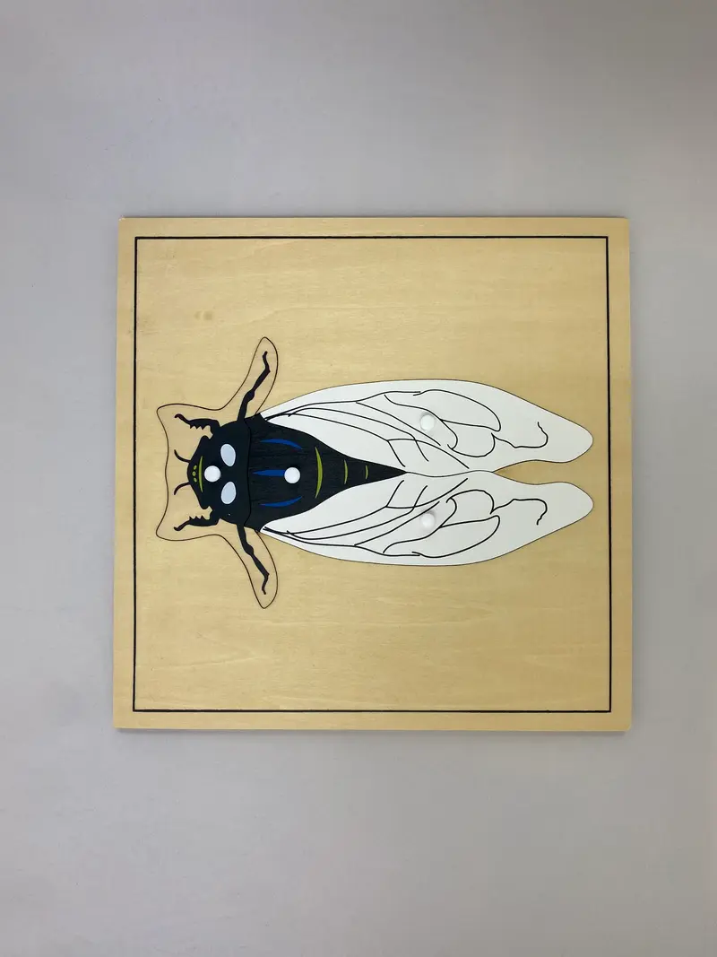 Pussel - fluga 24x24 cm