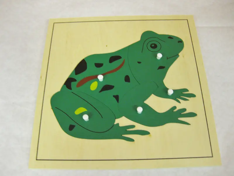 Pussel - groda 24x24 cm
