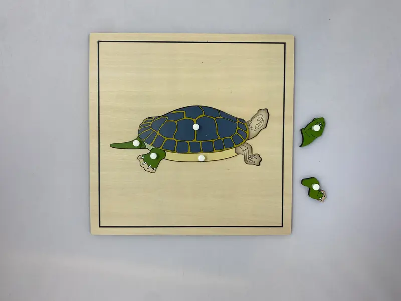 Pussel - sköldpadda med skelett