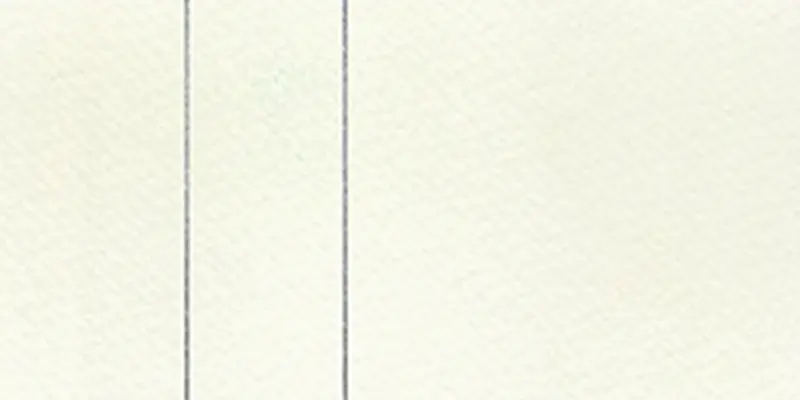 RS 101 Chinese white