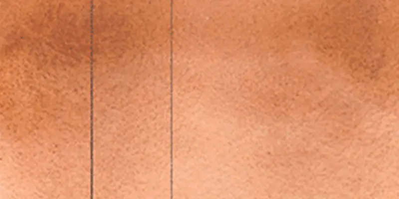 RS 113 Ochre Havana