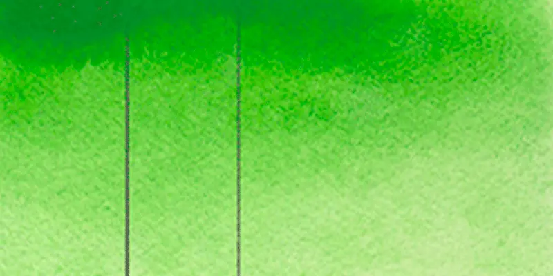 RS 231 Permanent green light
