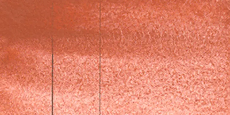 RS 251 Aquarius brown