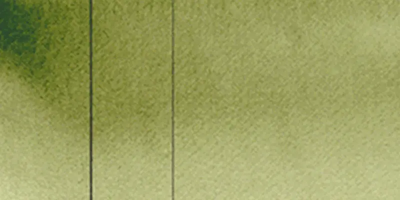 RS 252 Sap green light