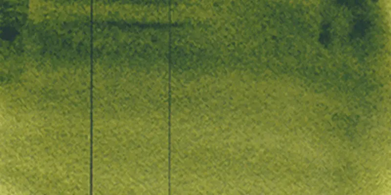RS 342 Hooker’s green