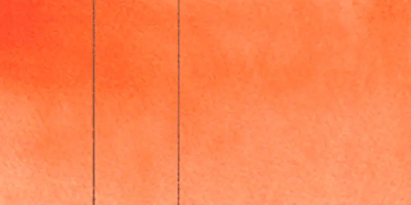 RS 353 Golden orange