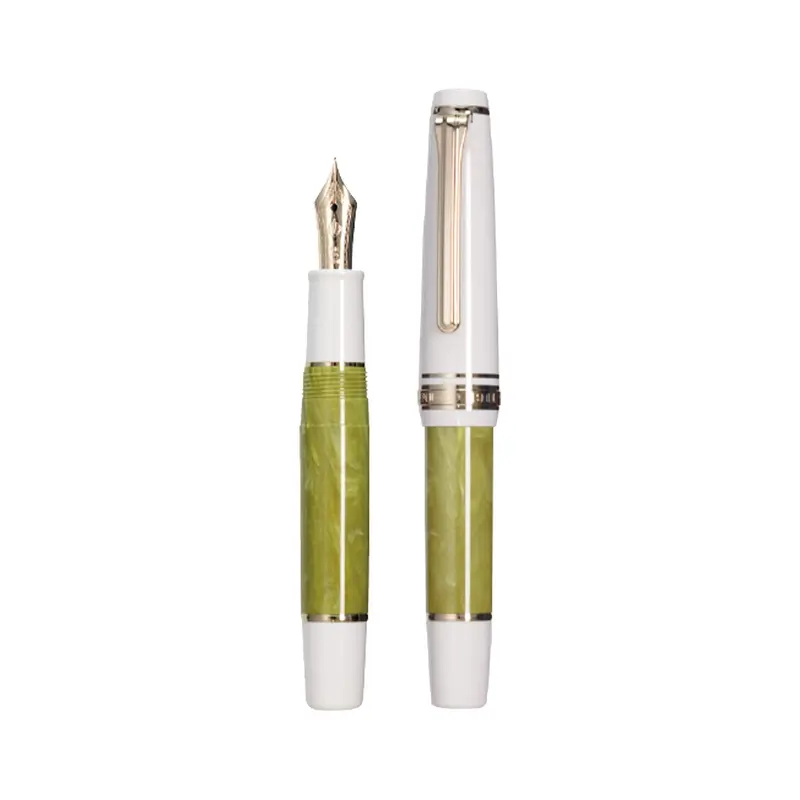 SAILOR Rencontre Limited Edition Fountain Pen - Pistache [MF Nib]