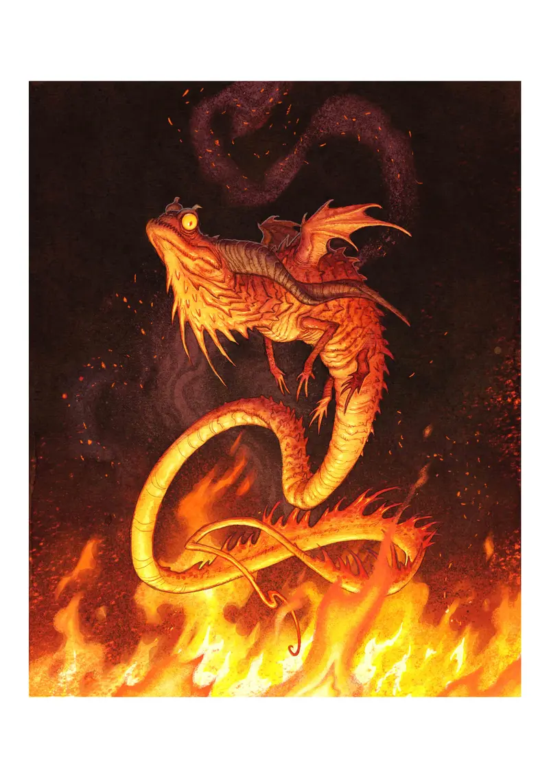 Salamander Signed A3 Art Print – Dragons Illustration