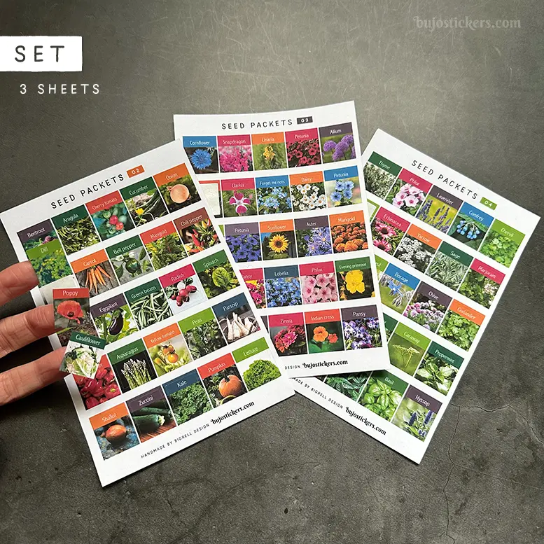 Seed packets • SET of 3