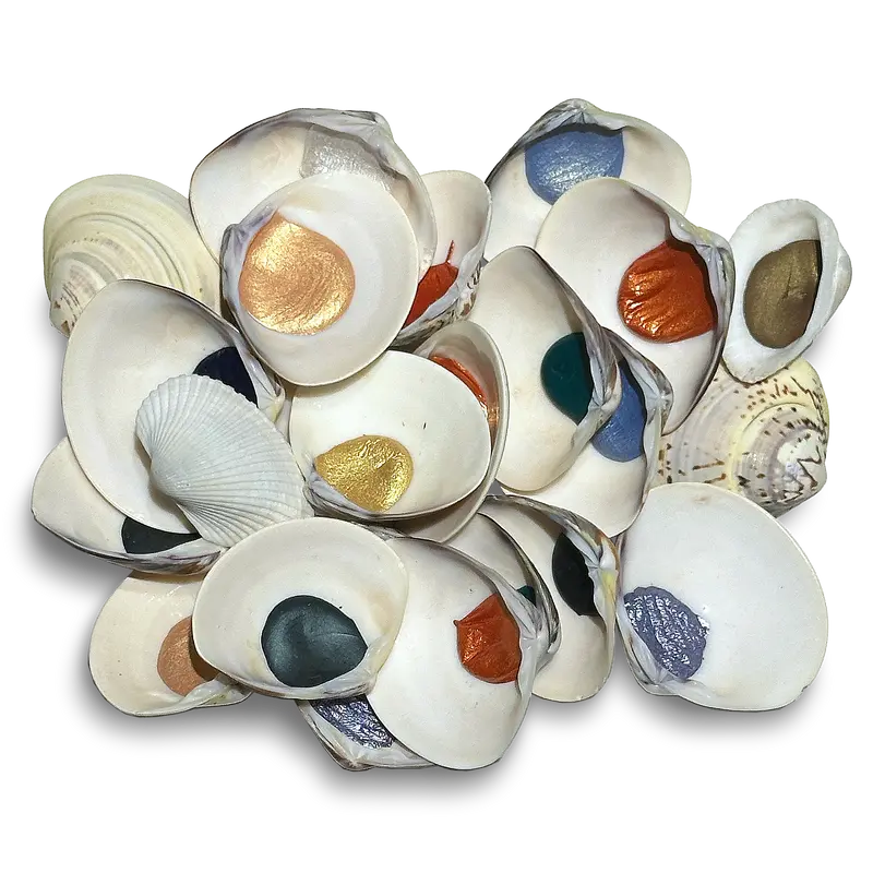Shell akvarell