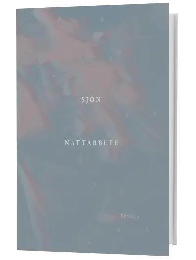 Sjón – Nattarbete