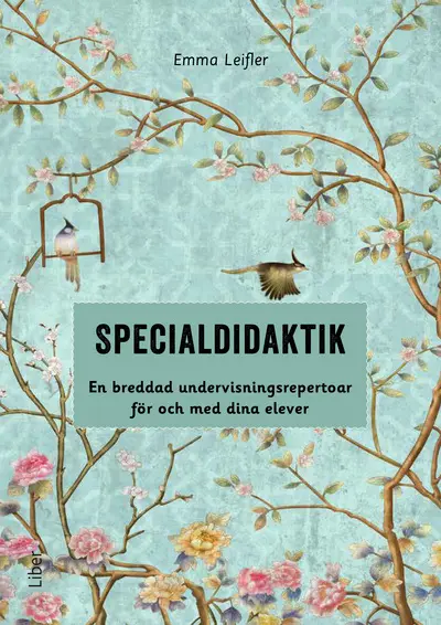 Specialdidaktik