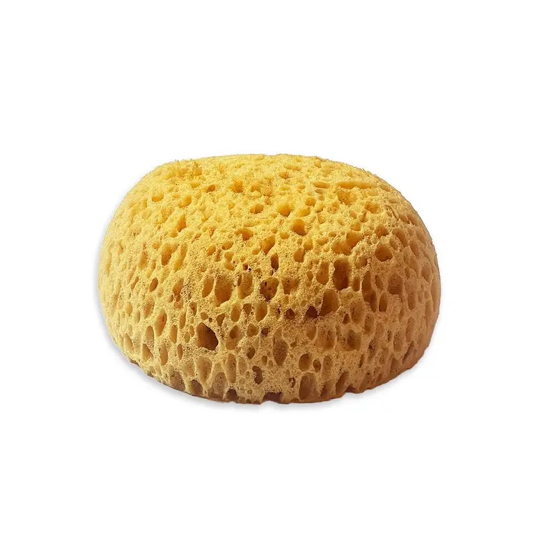 Sponge paint Art stories