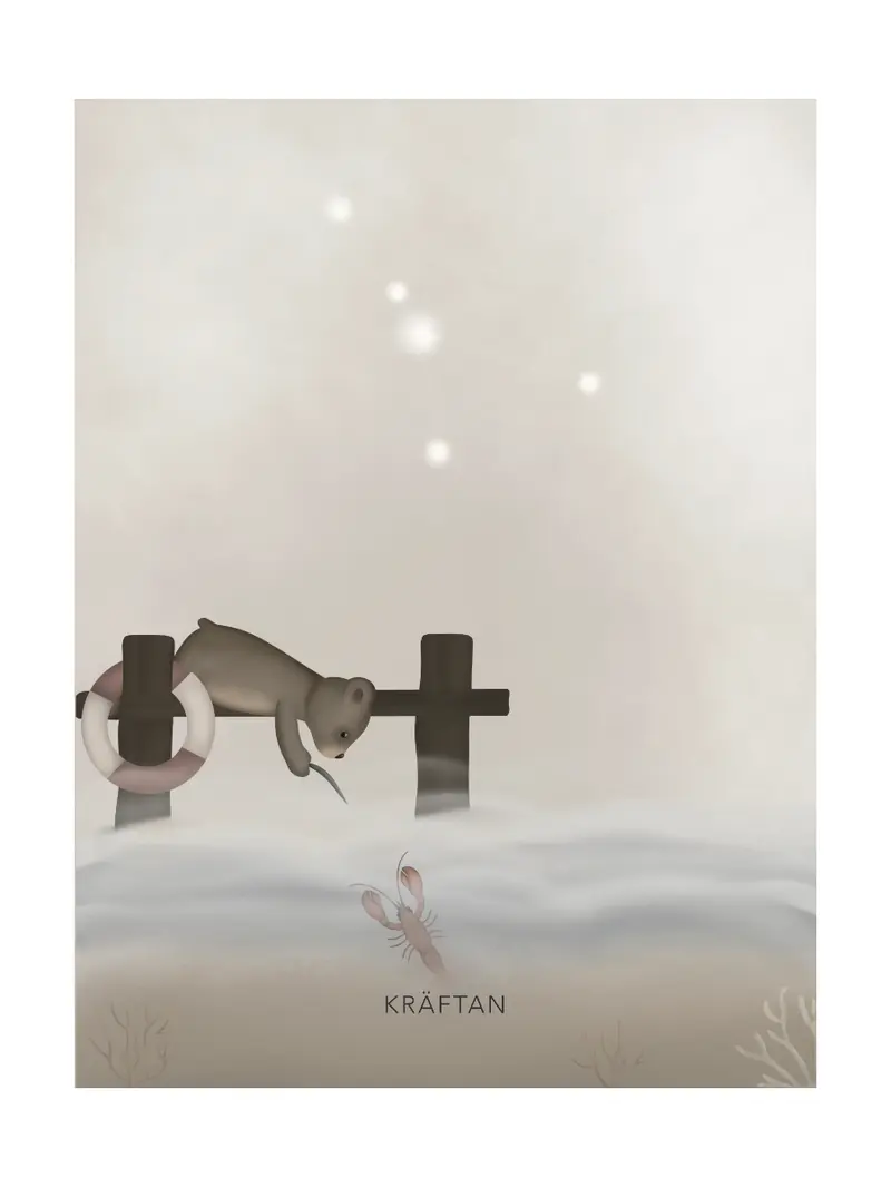 Stjärntecken Björnen Och Kräftan