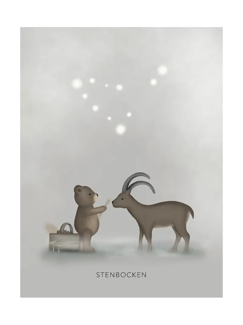 Stjärntecken Björnen Och Stenbocken