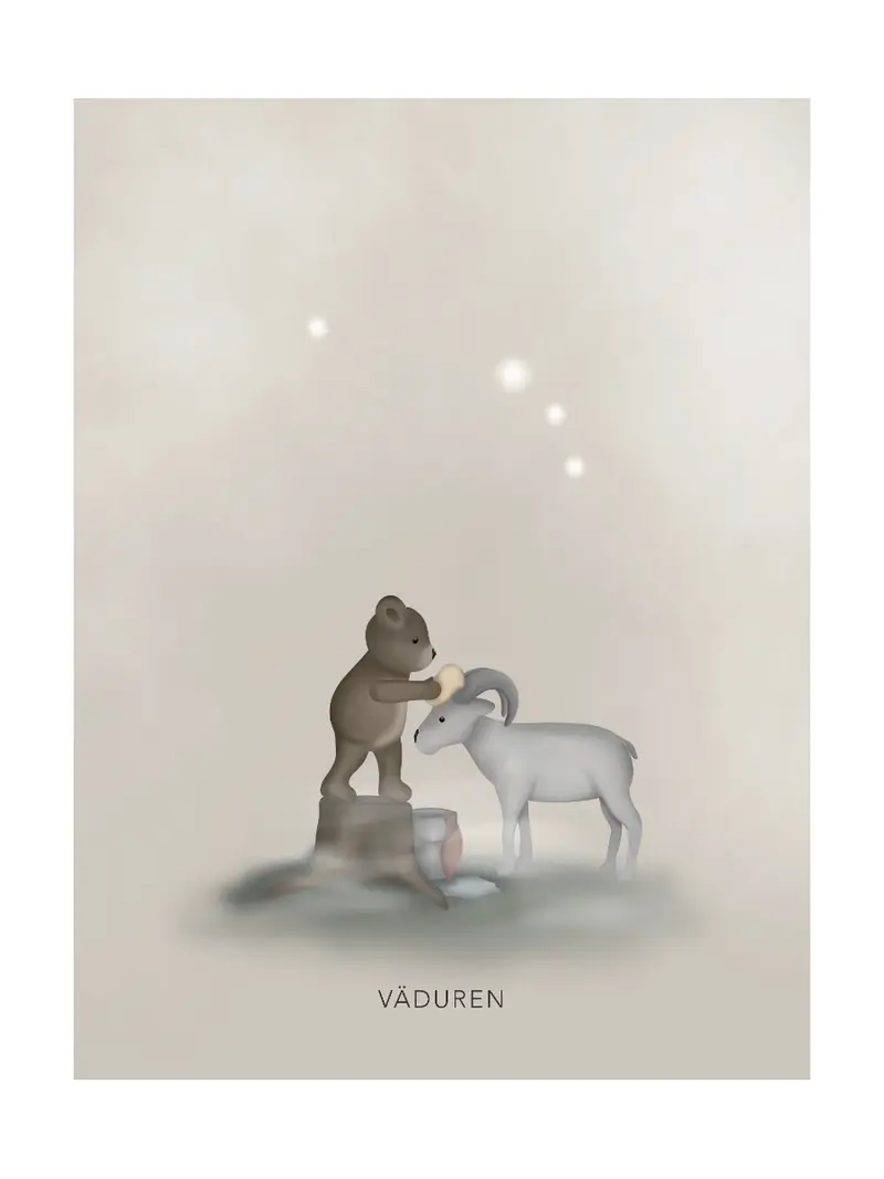 Stjärntecken Björnen Och Väduren
