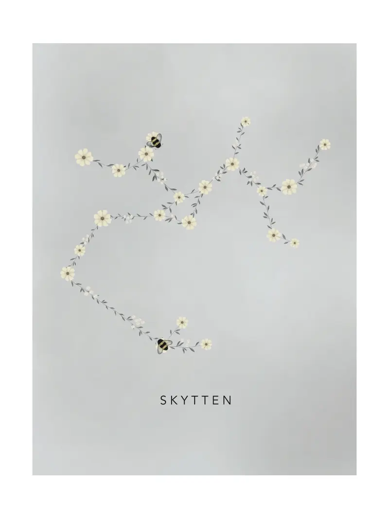 Stjärntecken Humlan Och Skytten