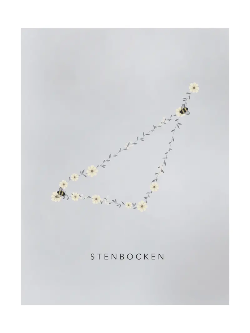 Stjärntecken Humlan Och Stenbocken