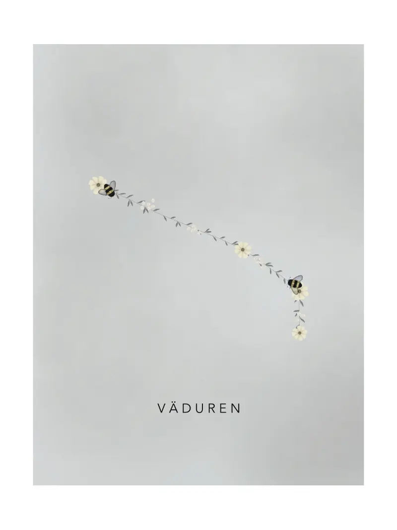 Stjärntecken Humlan Och Väduren