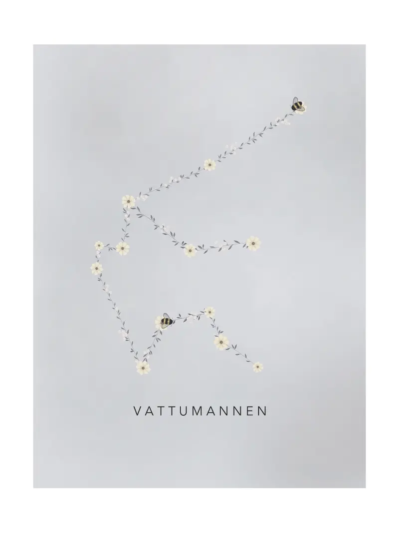 Stjärntecken Humlan Och Vattumannen