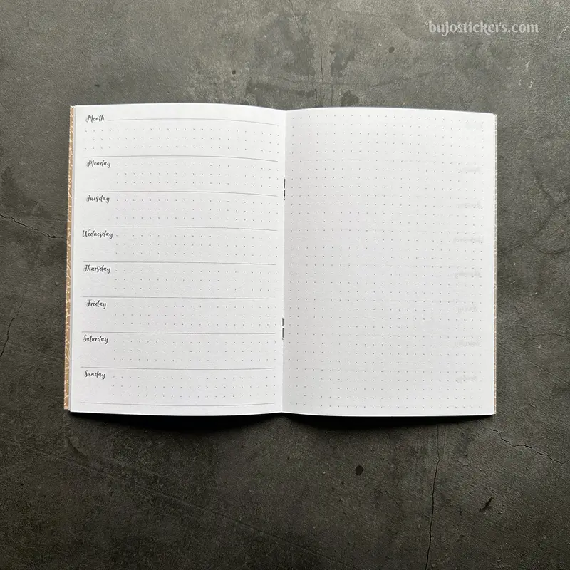 Traveler's Notebook B6 Week + Notes