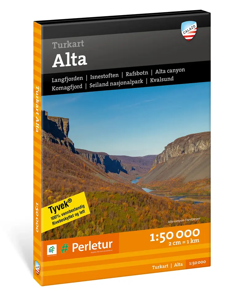 Turkart Alta 1