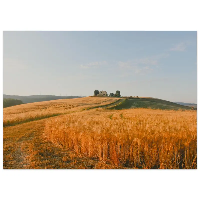 Tuscany - Art print #2