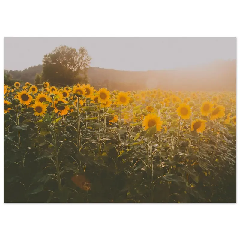 Tuscany - Art print #4