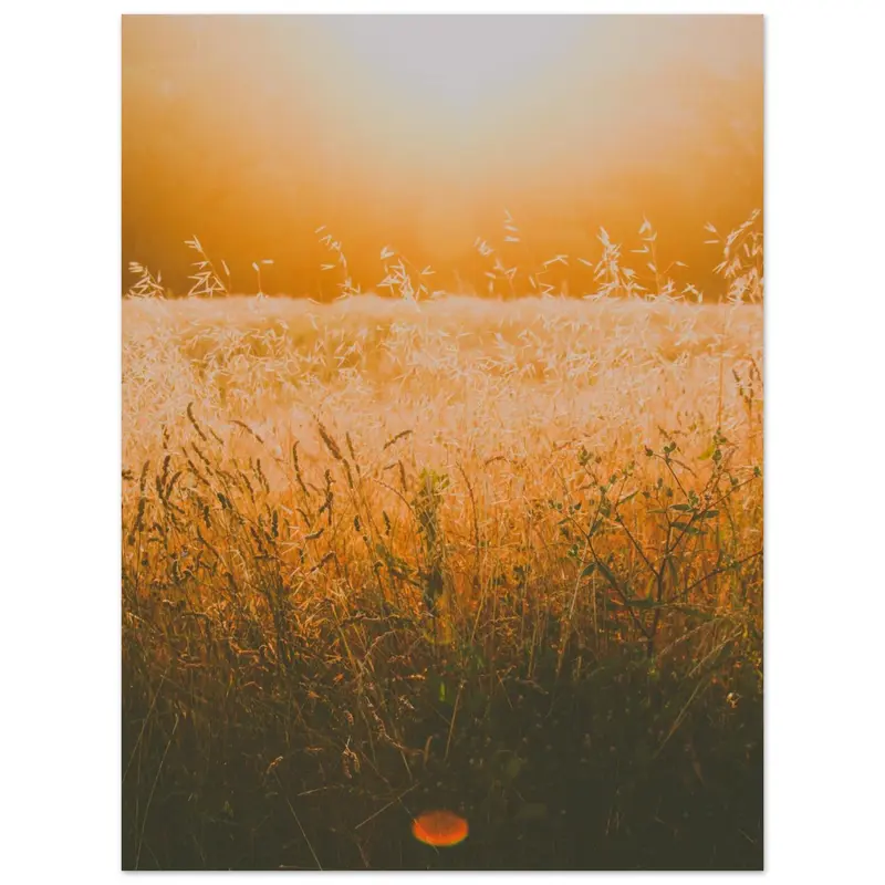 Tuscany - Art print #7