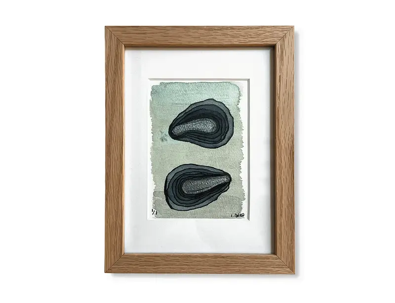 Two oysters
