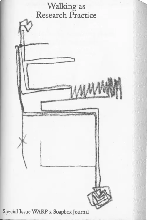 Walking as a Research Practice