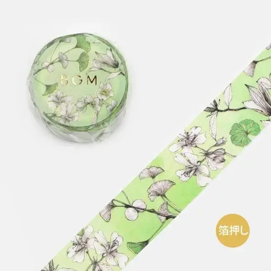 Washi tape Margin - Green